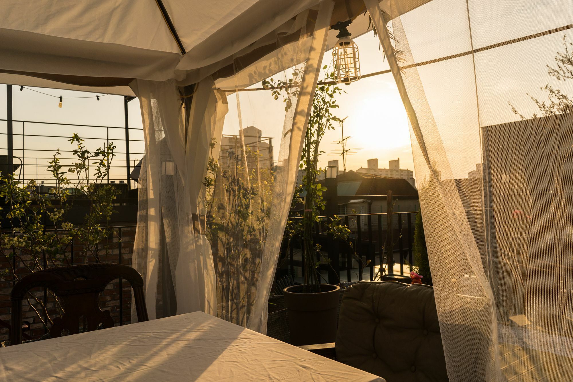 Tetto House Rooftop Garden Σεούλ Εξωτερικό φωτογραφία